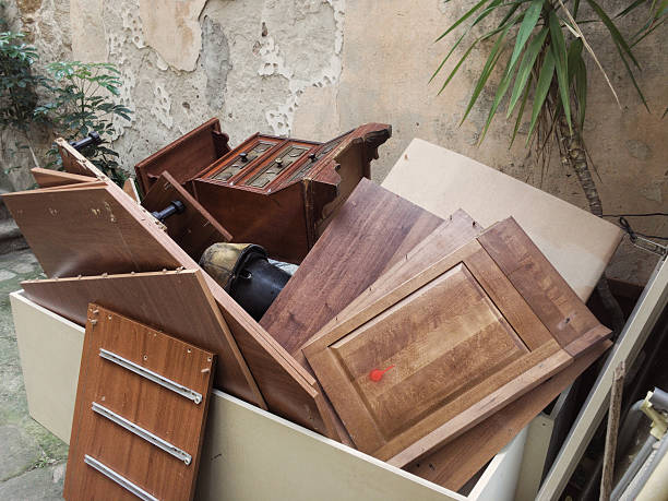 Debris Removal in Trainer, PA